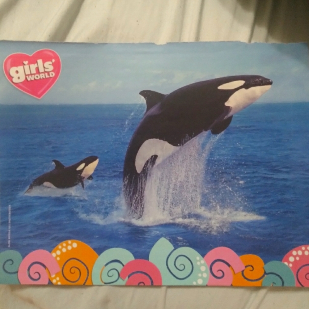 Girls' World Small Orca/Kitten Poster